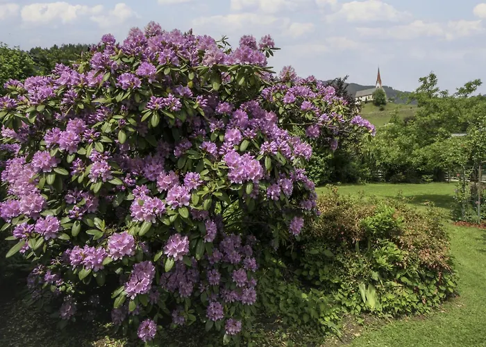 Penz By Interhome Feriehus